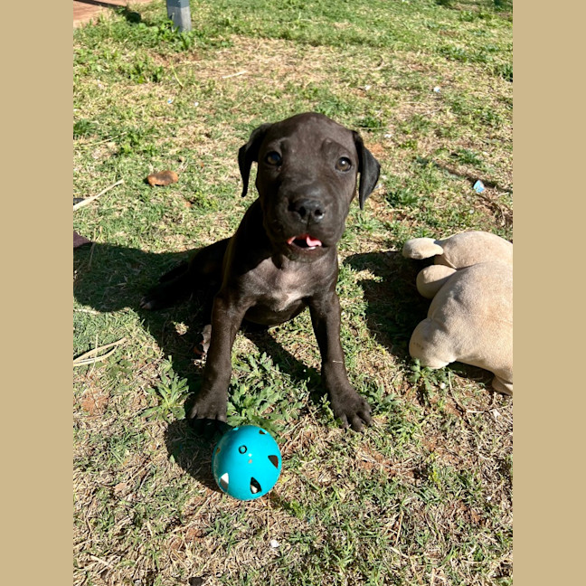 Photo of Lj (Lucille Junior)