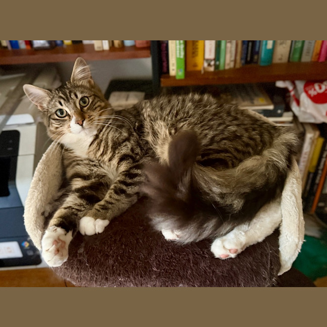 Photo of Mr Mcpersimmons