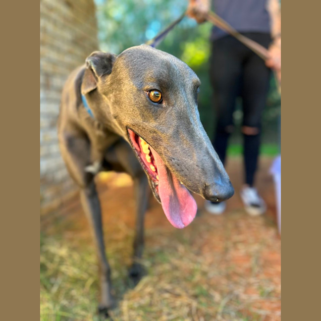 Photo of Frankie