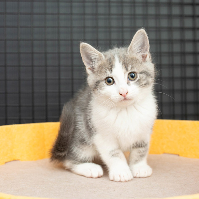 Photo of Cloud