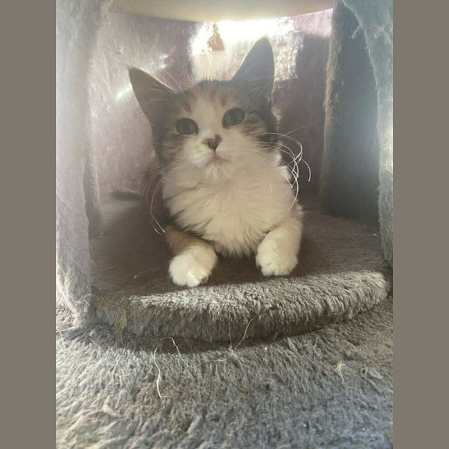 Photo of Elli 