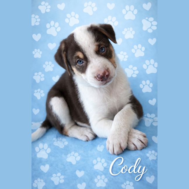 Photo of Cody