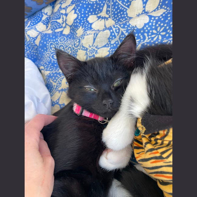 Photo of Bonnie