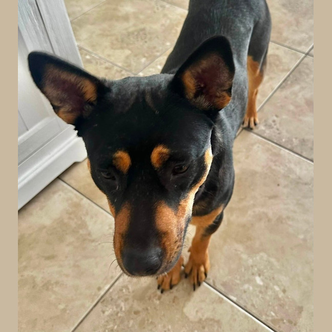 Photo of Winnie