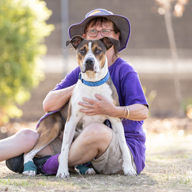 Photo of Buddy