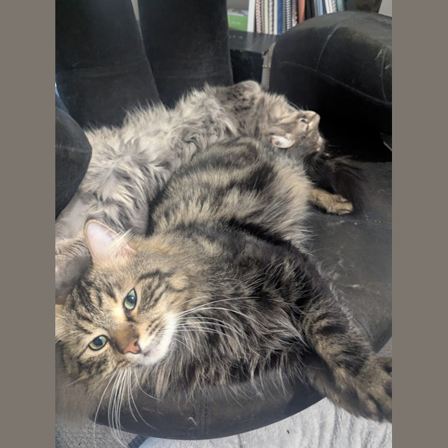 Photo of Wax & Wayne