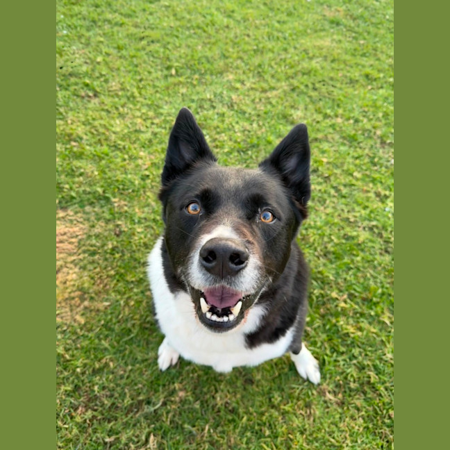 Photo of Marley 