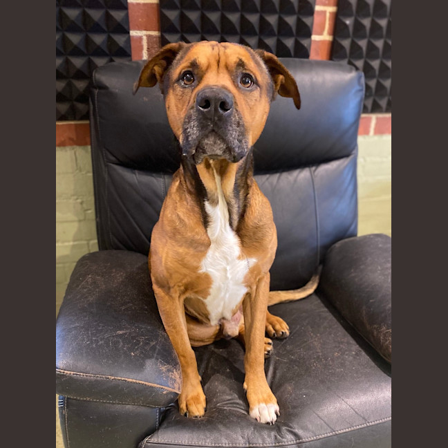 Photo of Zeke