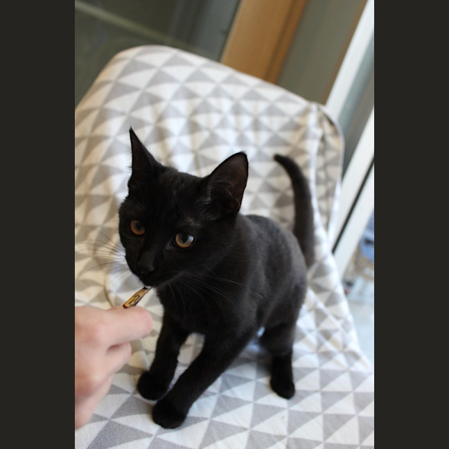 Photo of Dolce (Et Gabbana)