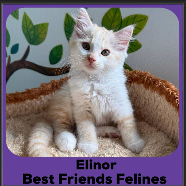 Photo of Elinor 