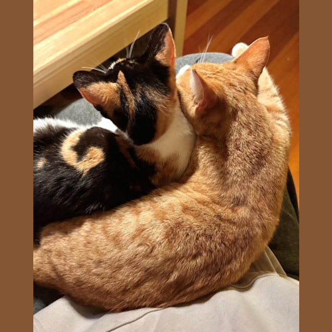 Photo of Rosie & Rudy 