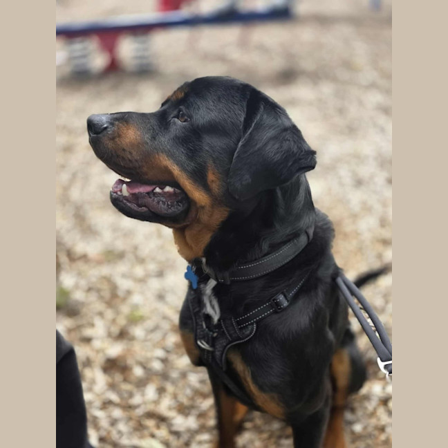 Photo of Big Baby Ben