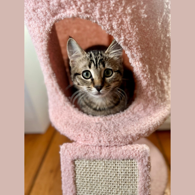 Photo of Winnie