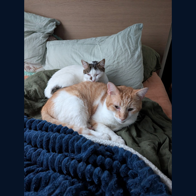 Photo of Gus