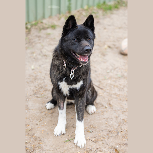 Photo of Kita