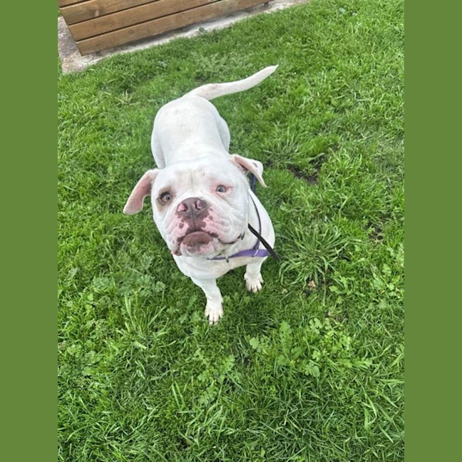 Photo of Jax