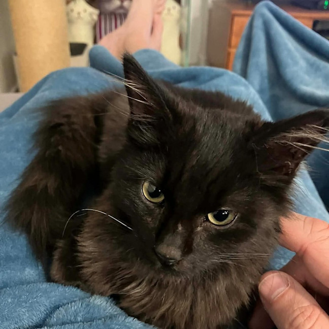 Photo of Lucky