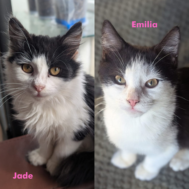 Photo of Emilia & Jade