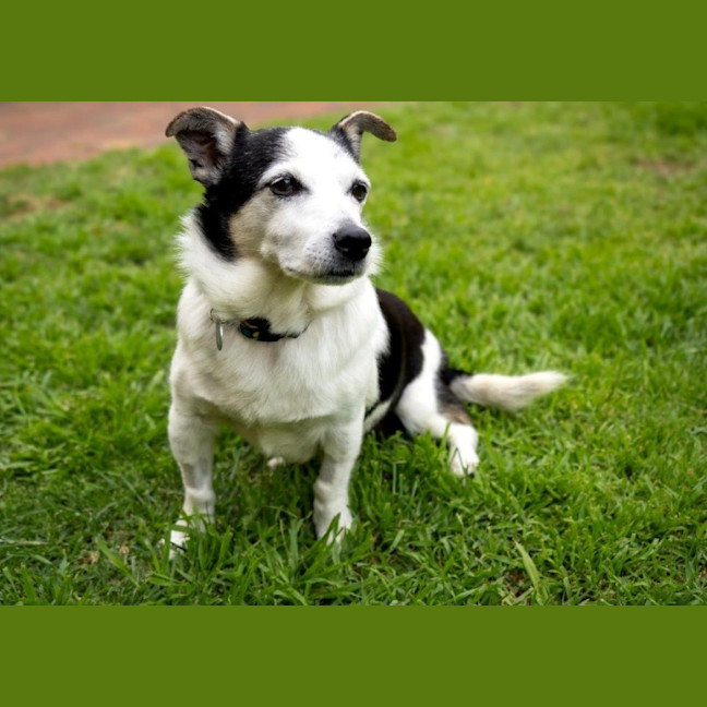 Photo of Laurie Jablonski