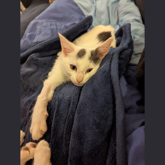 Photo of Mellie Baby