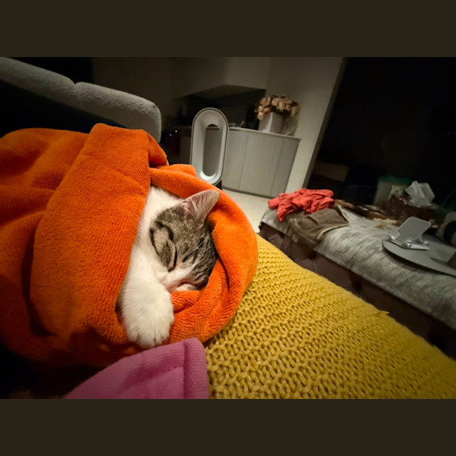 Photo of Digory