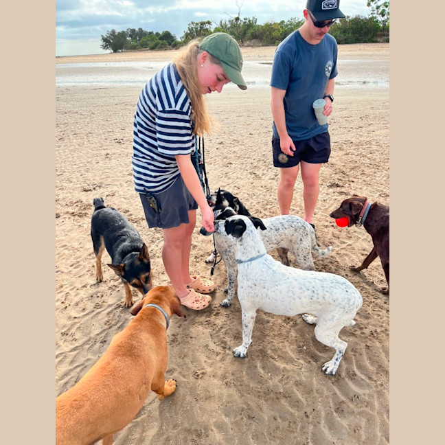 Photo of Spot