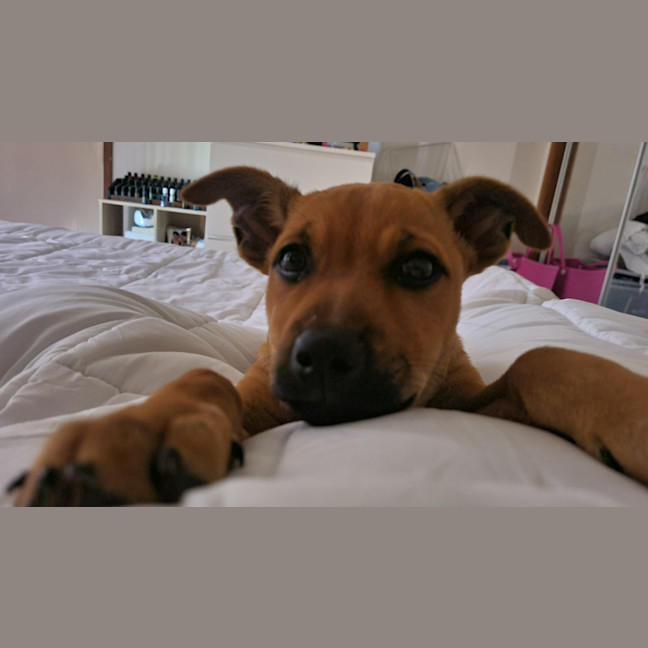 Photo of Tilly (Tandi)