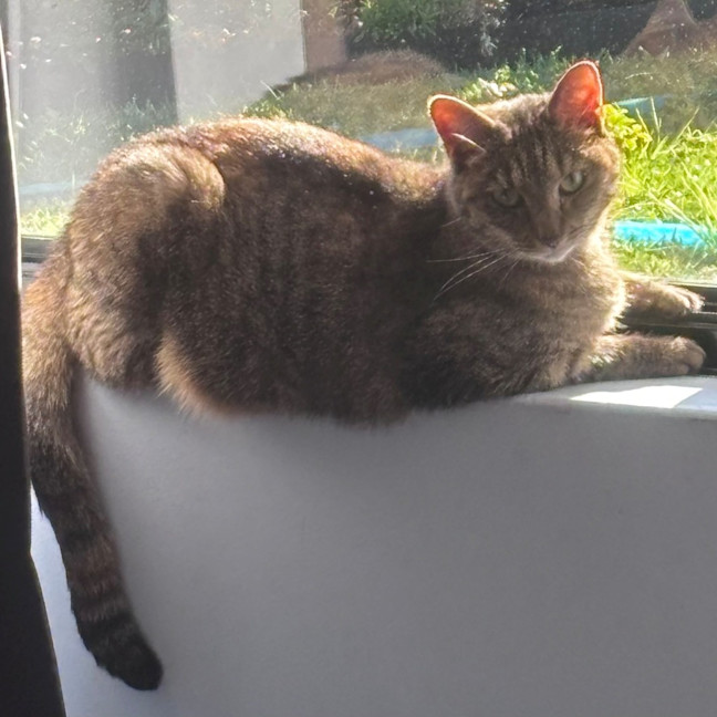 Photo of Tully