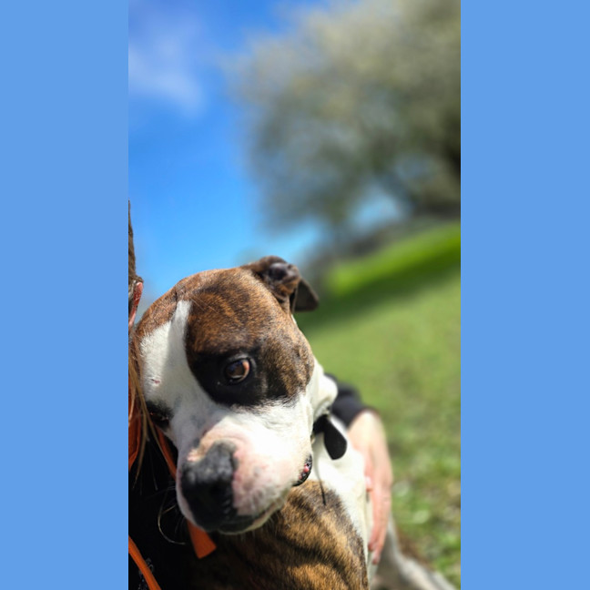 Photo of Tank