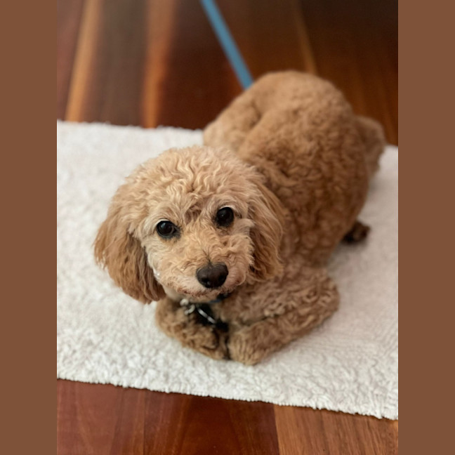 Photo of Emily