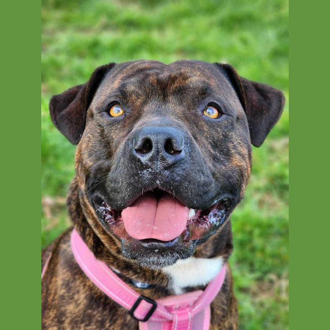 Photo of 🍃 Miguel 5402 🍃