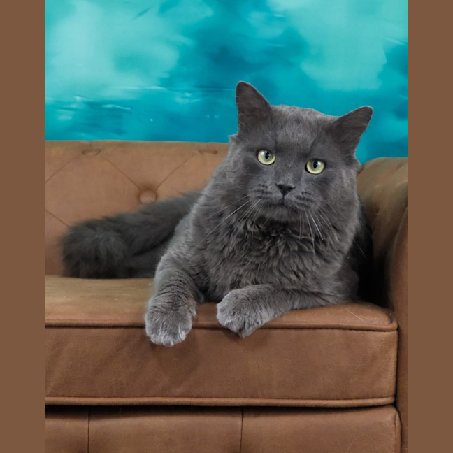 Photo of Franklyn