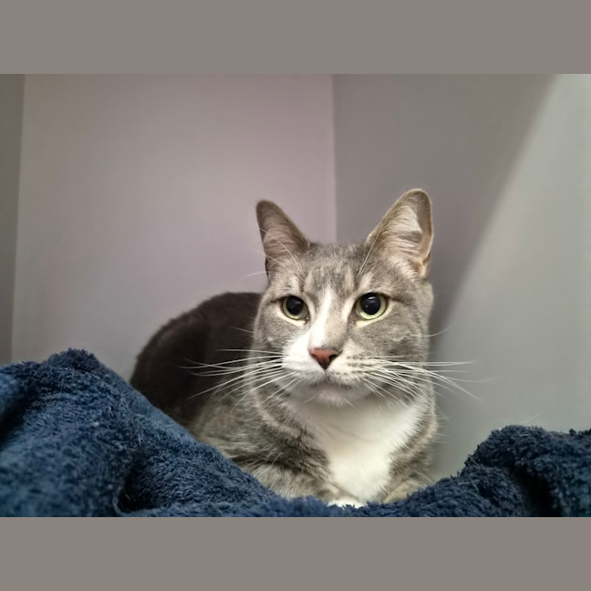 Photo of Jasper
