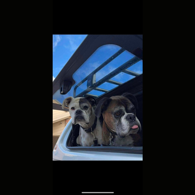 Photo of Leo And Harley