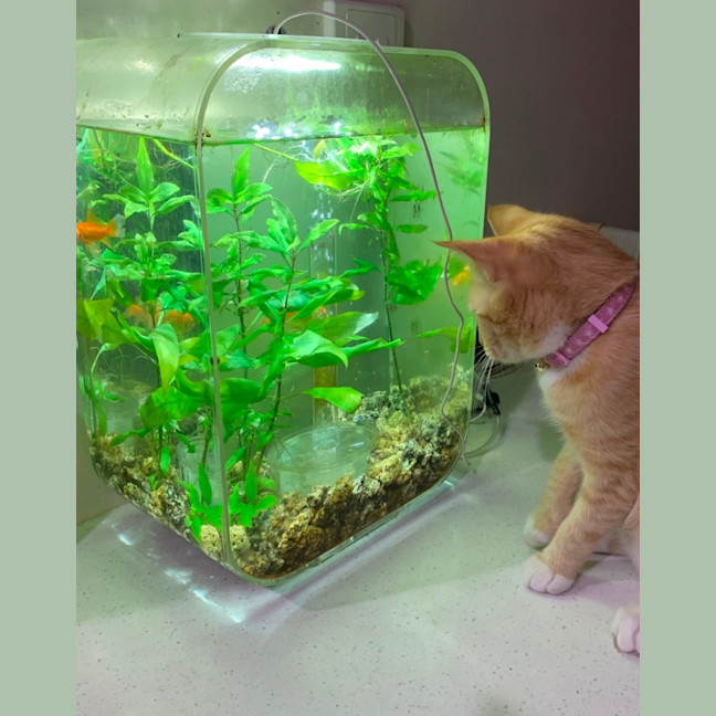 Photo of Minnie 🐾🐾💕💕