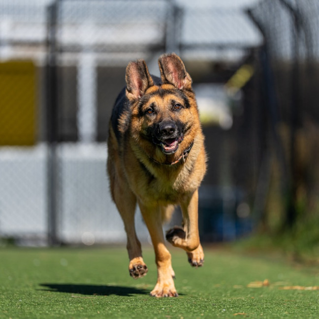 Photo of Jakob Imp 2581