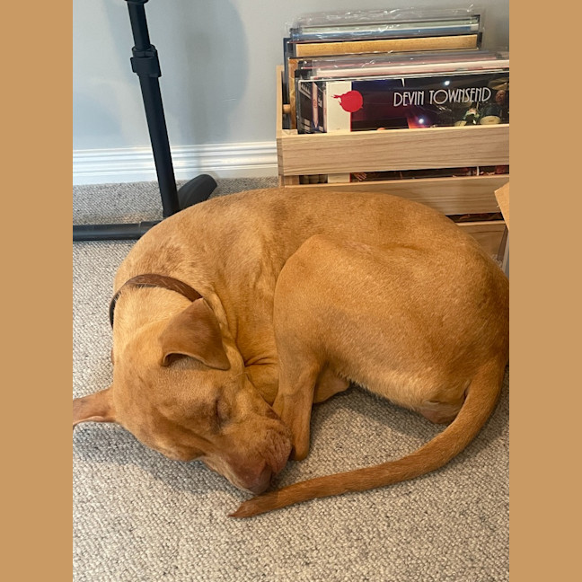 Photo of Peaches
