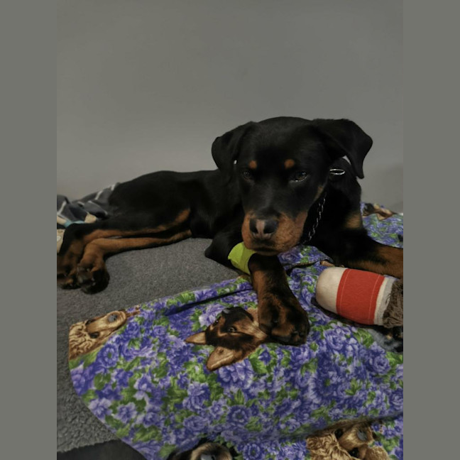Photo of Bazza