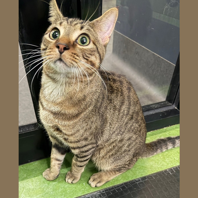 Photo of Starsky (Bonded With Hutch)