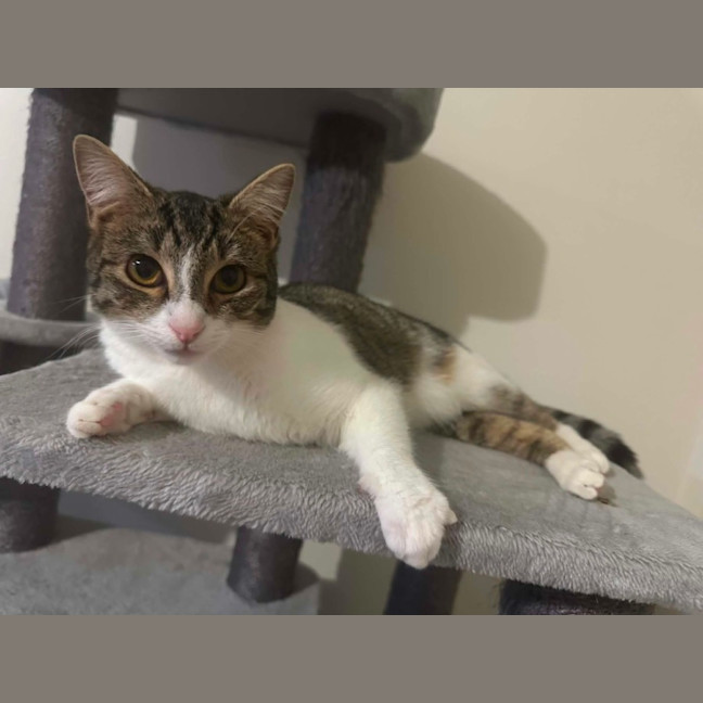 Photo of Monty