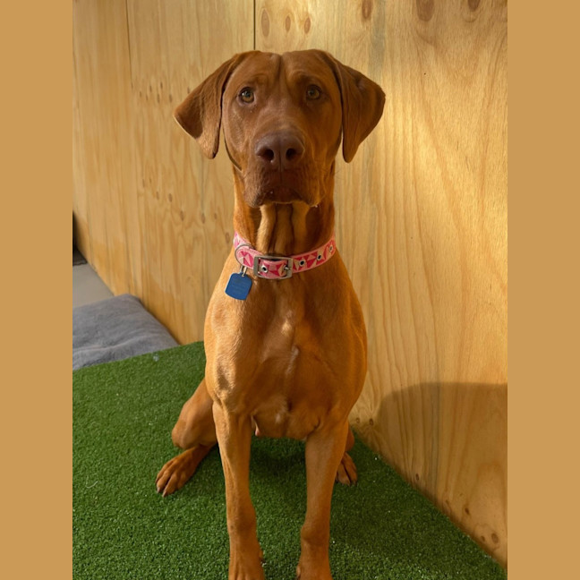Photo of Cleo
