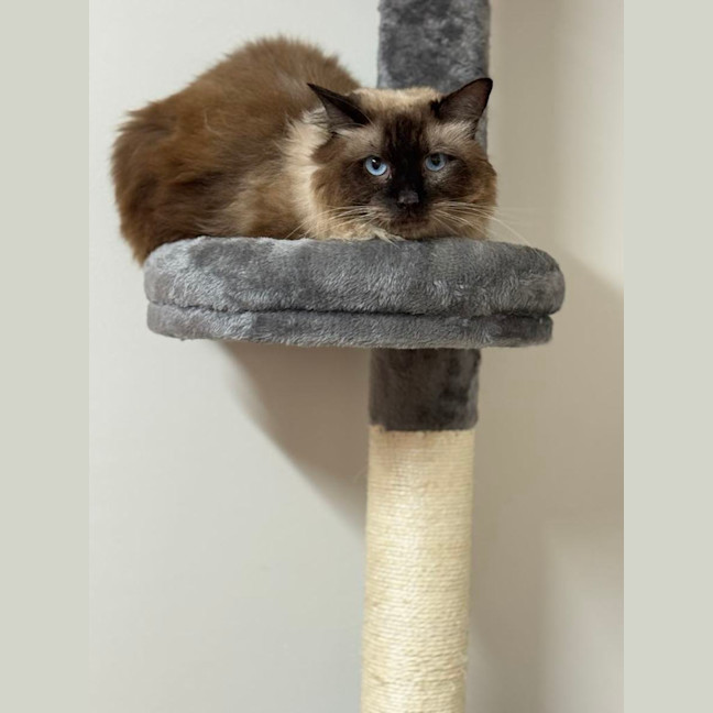 Photo of Mr Ice Blue