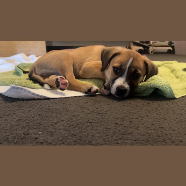 Photo of Boa Hancock