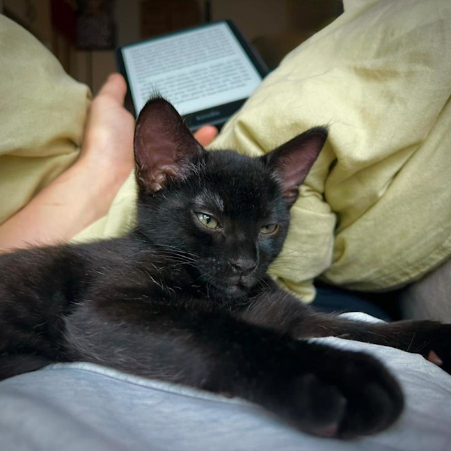 Photo of Bobby