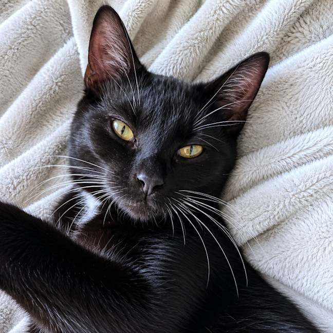 Photo of Levi