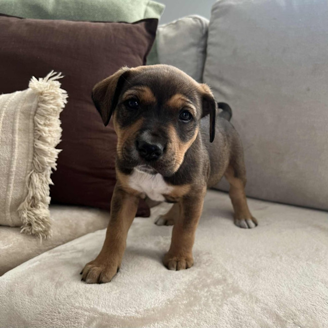 Photo of Princess Bubblegum