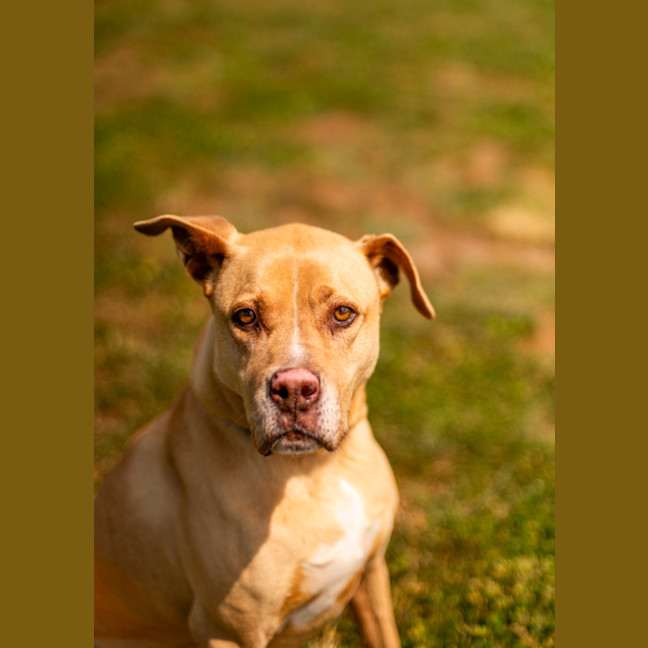 Photo of Max