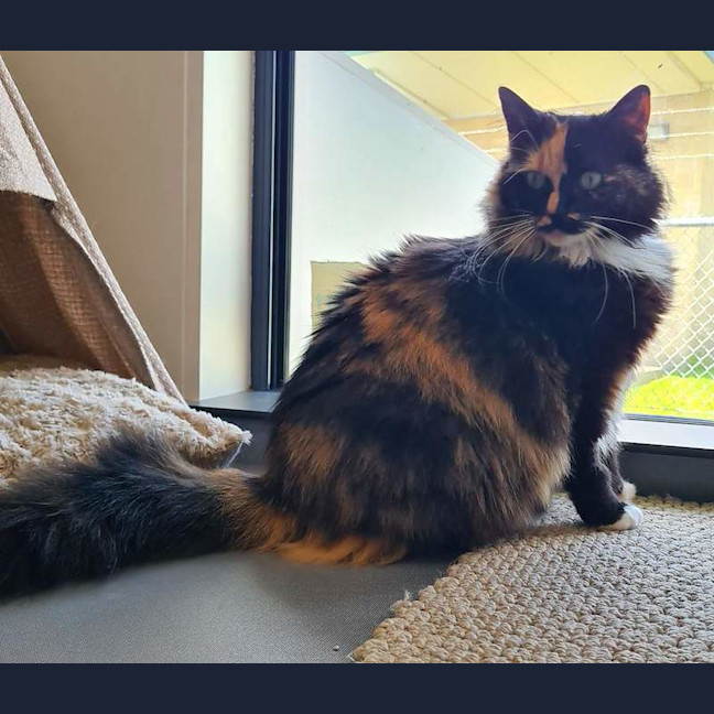 Photo of Bella
