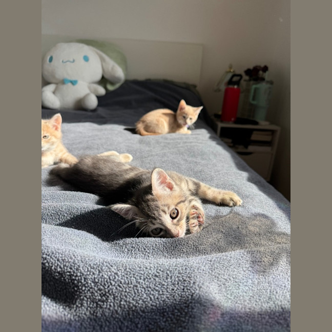 Photo of Topaz