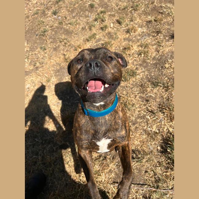 Photo of Ralphy Aka Wreck It Ralph